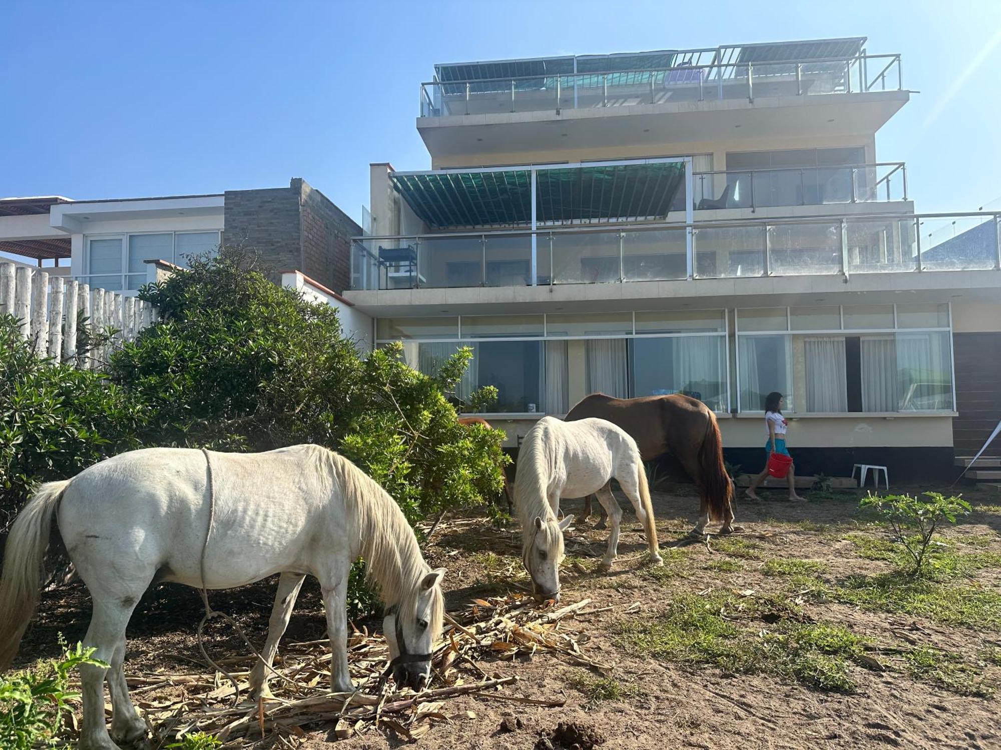 Yolo House Peru Bed & Breakfast Asia Exterior foto